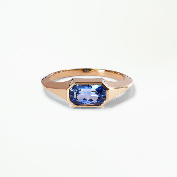 One of a Kind Fancy Mixed Cut Sapphire Signet Ring No. 51