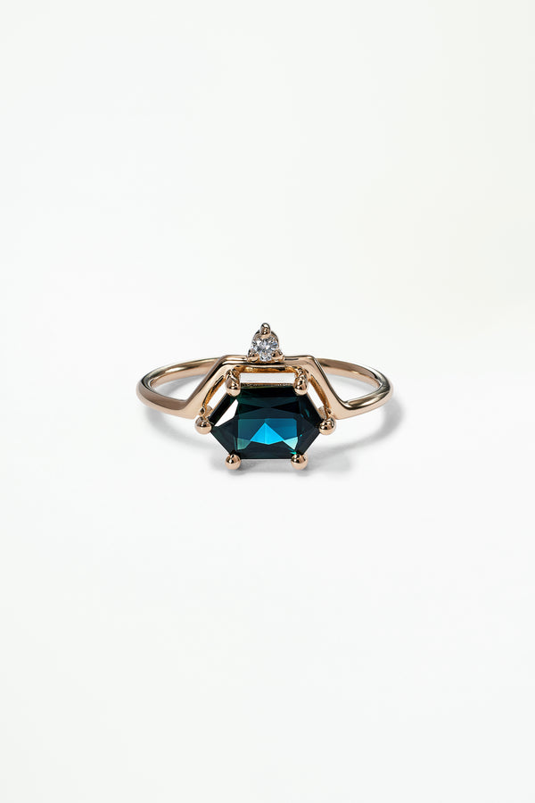 One of a Kind Hexagon Cut Sapphire and Diamond Nestled Ring No. 2