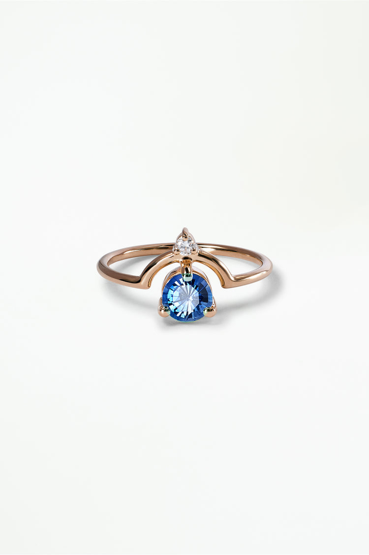 Medium Round Sapphire and Diamond Nestled Ring – WWAKE