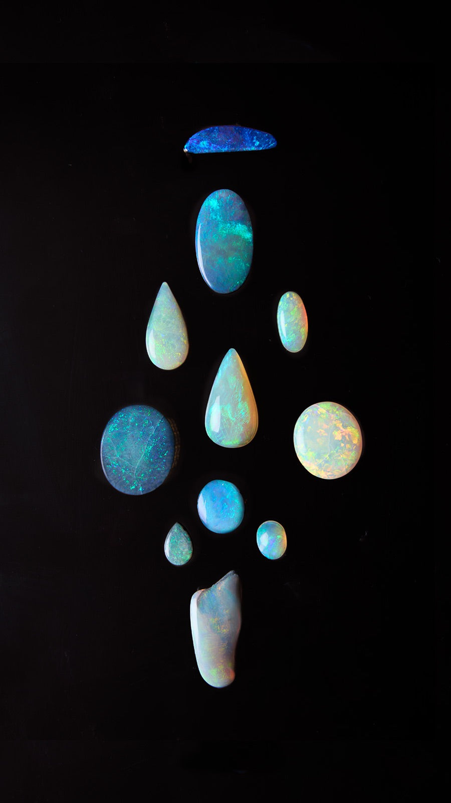 INTRODUCING: FREEFORM