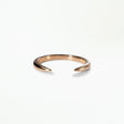 Large Gold Open Slice Ring