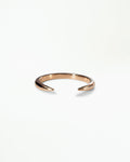 Large Gold Open Slice Ring
