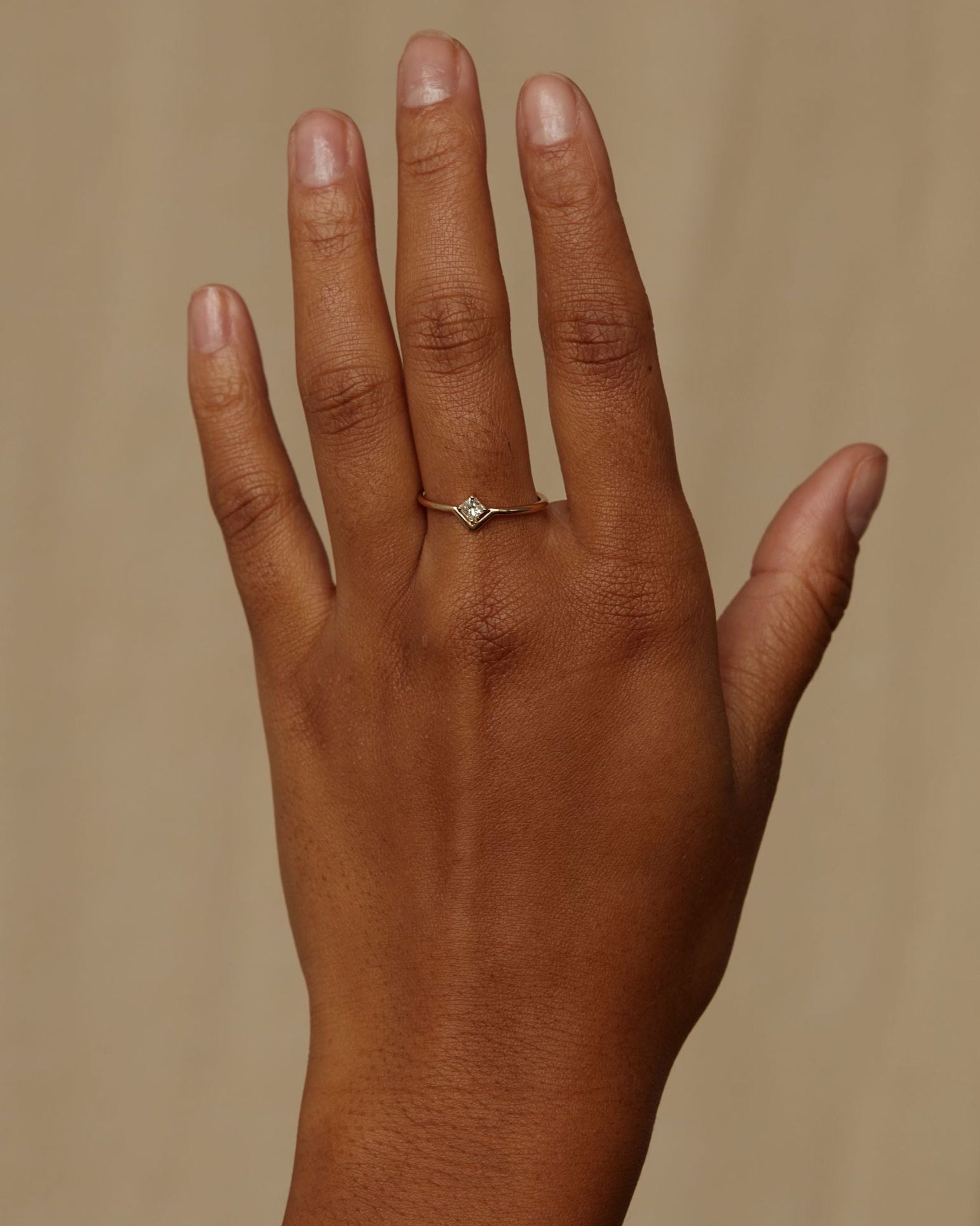 Small Princess Cut Diamond Nestled Ring