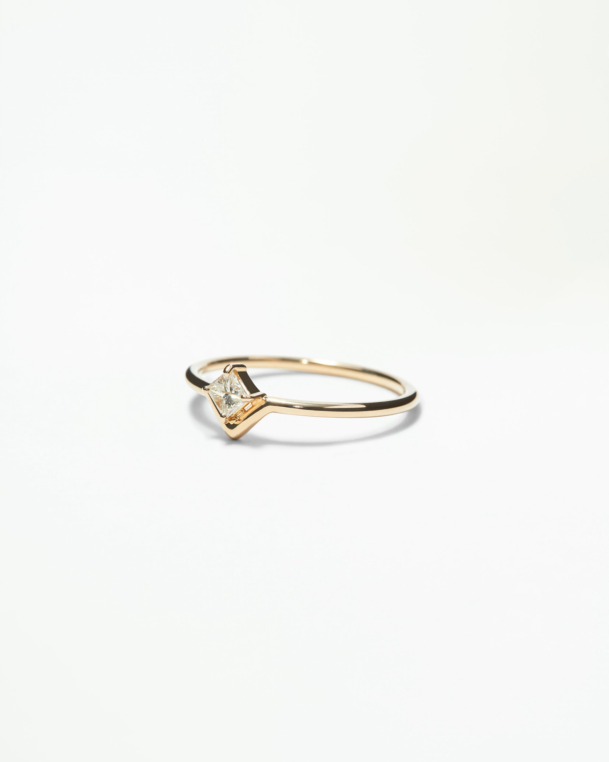 Small Princess Cut Diamond Nestled Ring