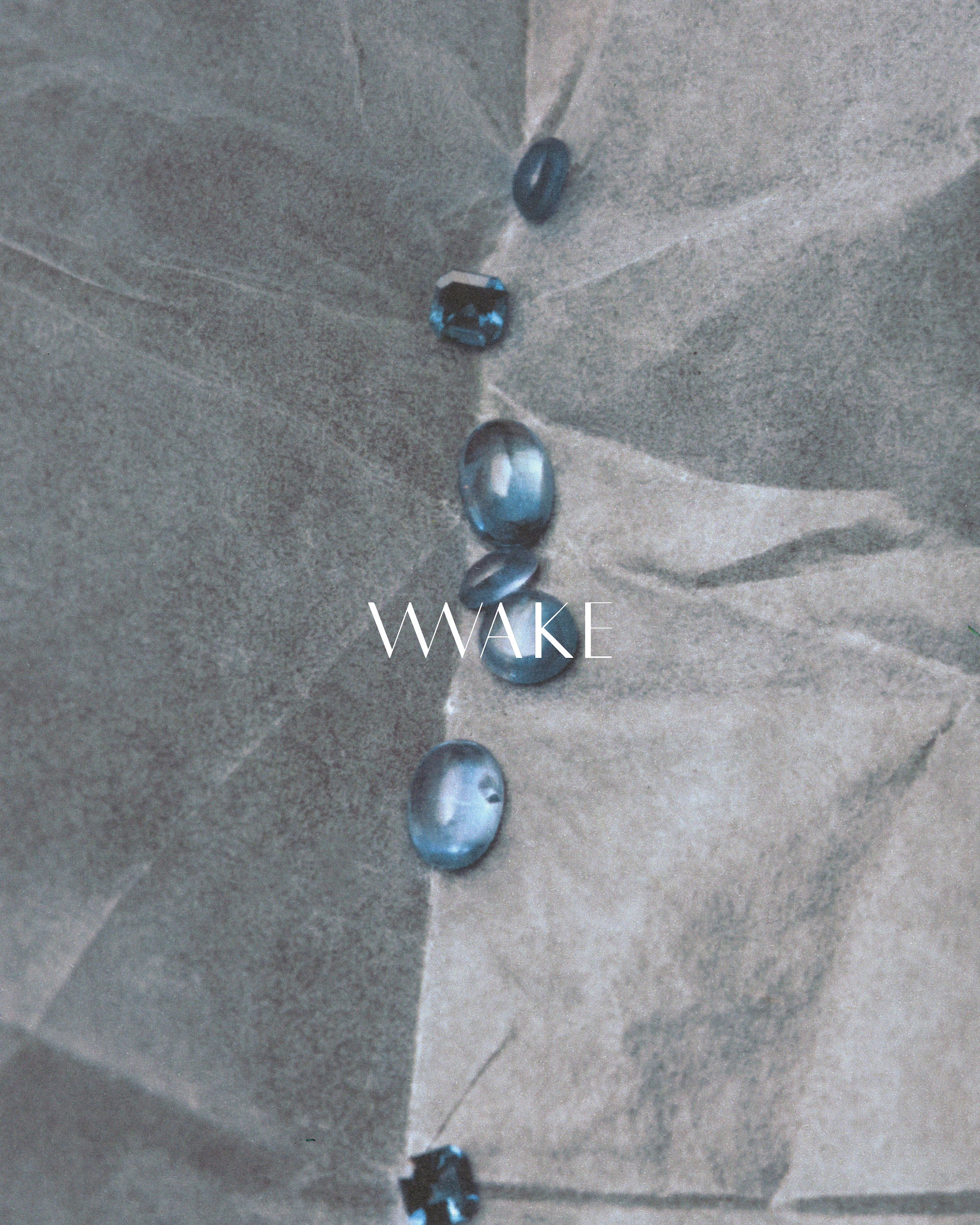 WWAKE Gift Card