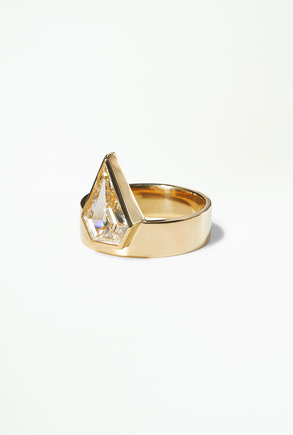 One of a Kind Kite Diamond Monolith Ring