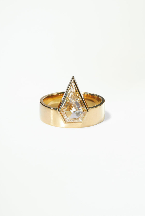 One of a Kind Kite Diamond Monolith Ring - WWAKE