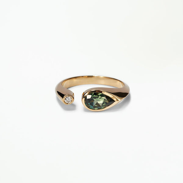 One of a Kind Dyad Signet Ring No. 3 - WWAKE
